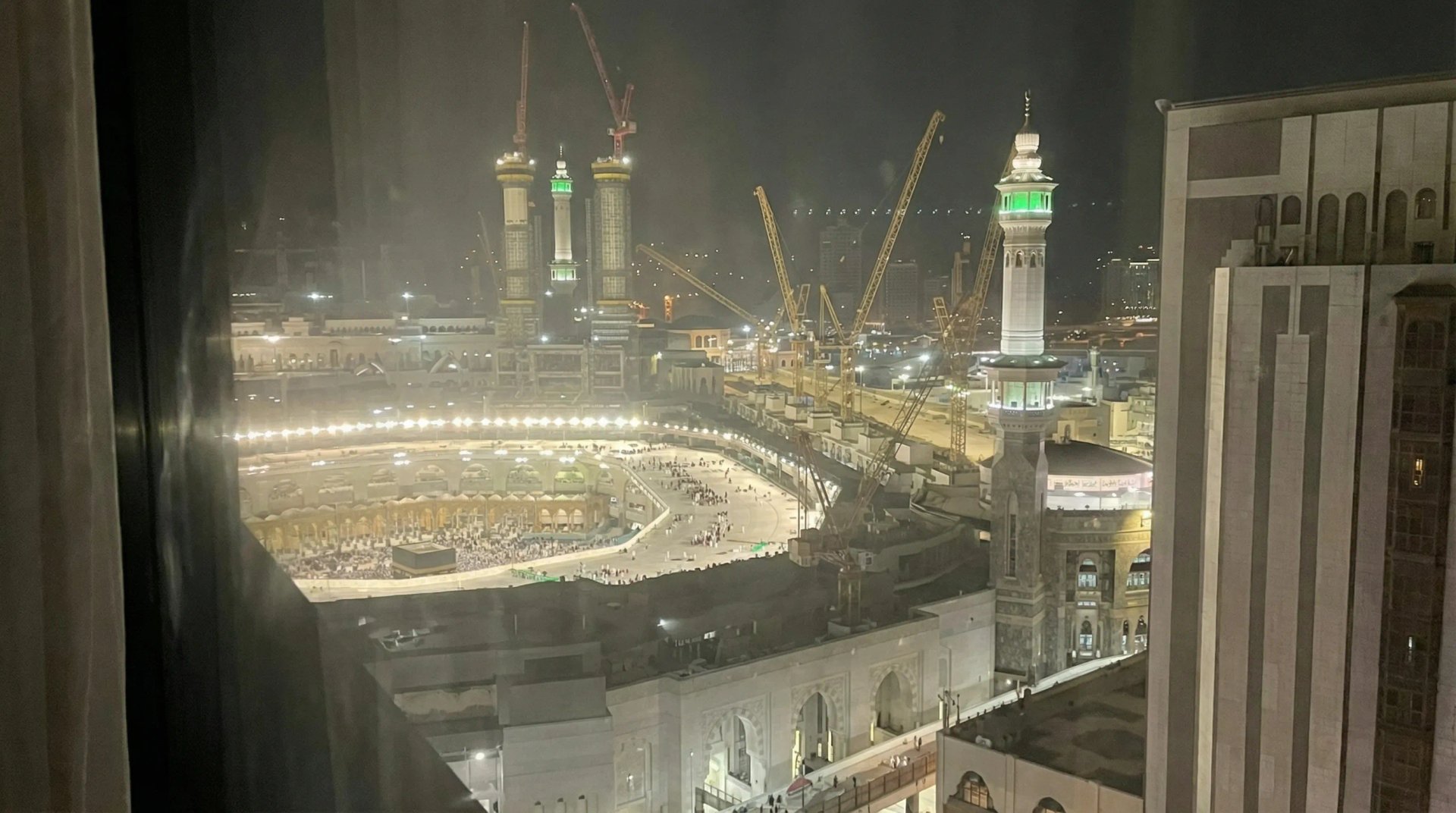 Safwah Royal Orchid Oda