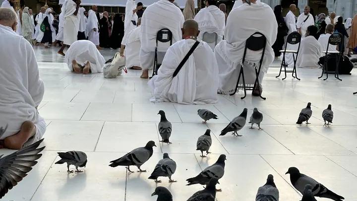 6 Günlük Umre Turu 20 Ekim 2026 | Eman Turizm