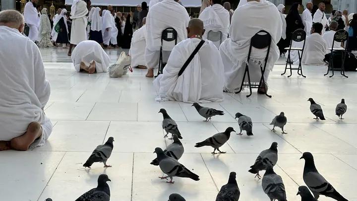 11 Aralık 2026 Hareketli 14 Günlük Umre 4 Yıldızlı Oteller | Diyanet