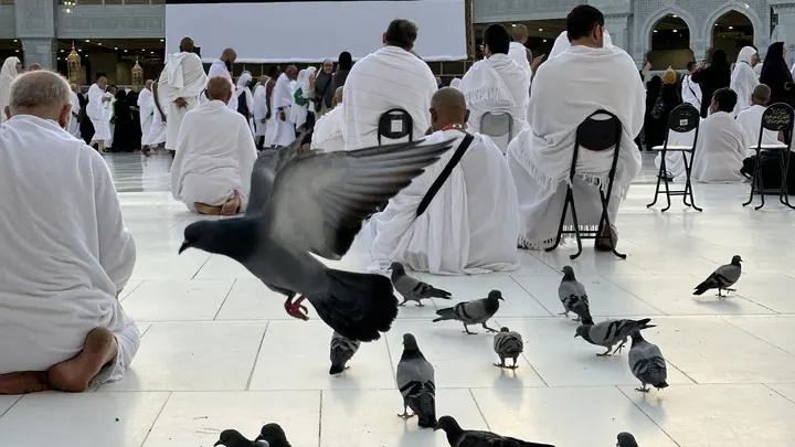 15 Haziran 2027 Hareketli 10 Günlük Umre | Ammar Turizm