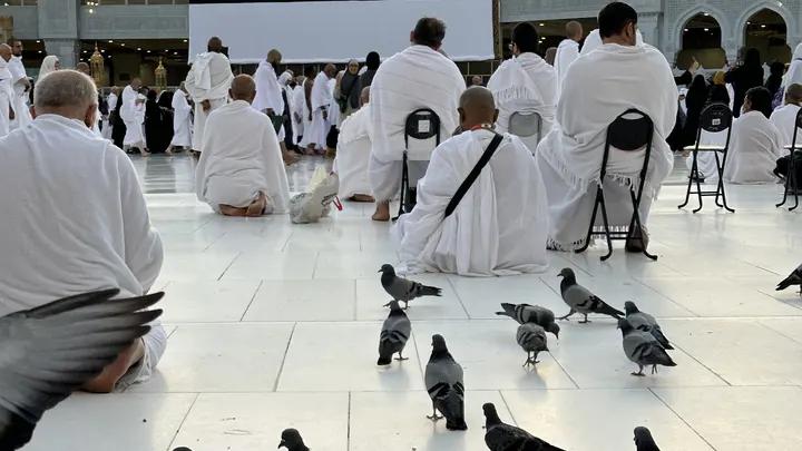 11 Kasım 2026 Hareketli 20 Günlük Umre 4 Yıldızlı Oteller | Diyanet
