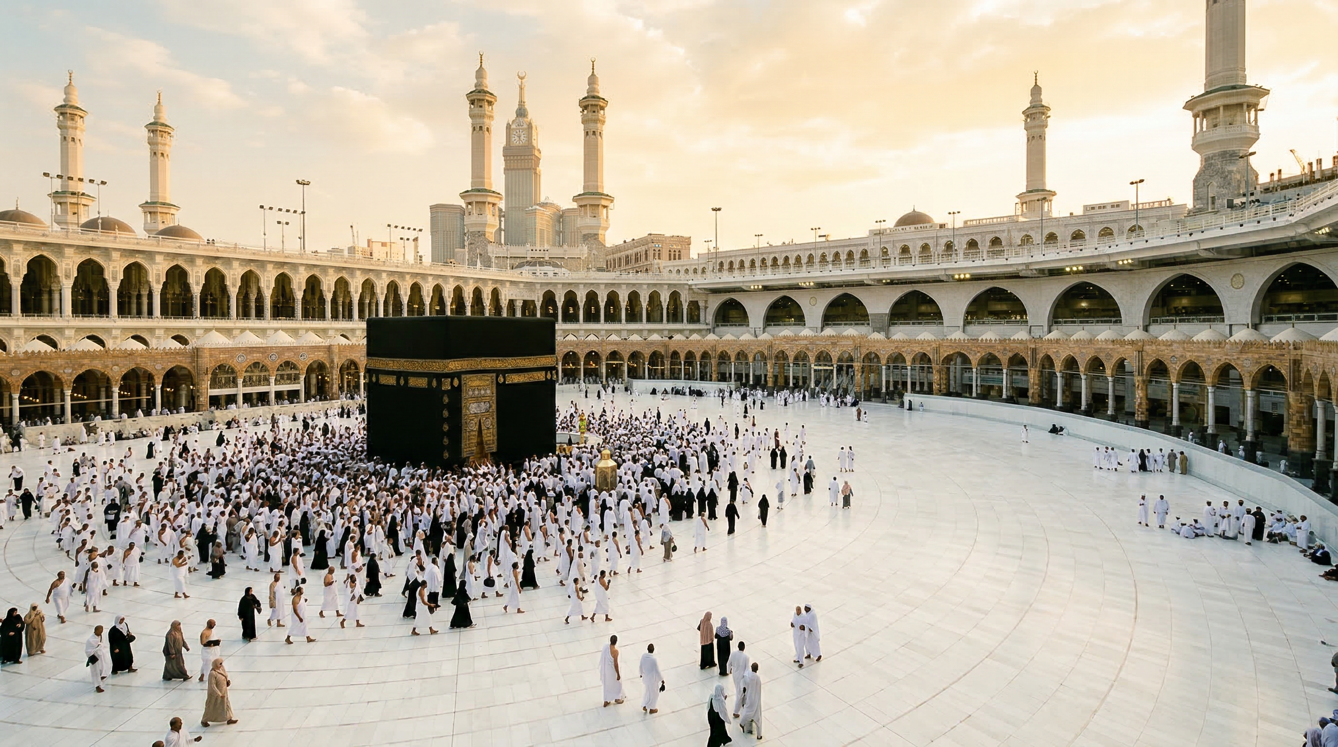 rab0DqplGPXErzki0iNKo_CdKMM9DN