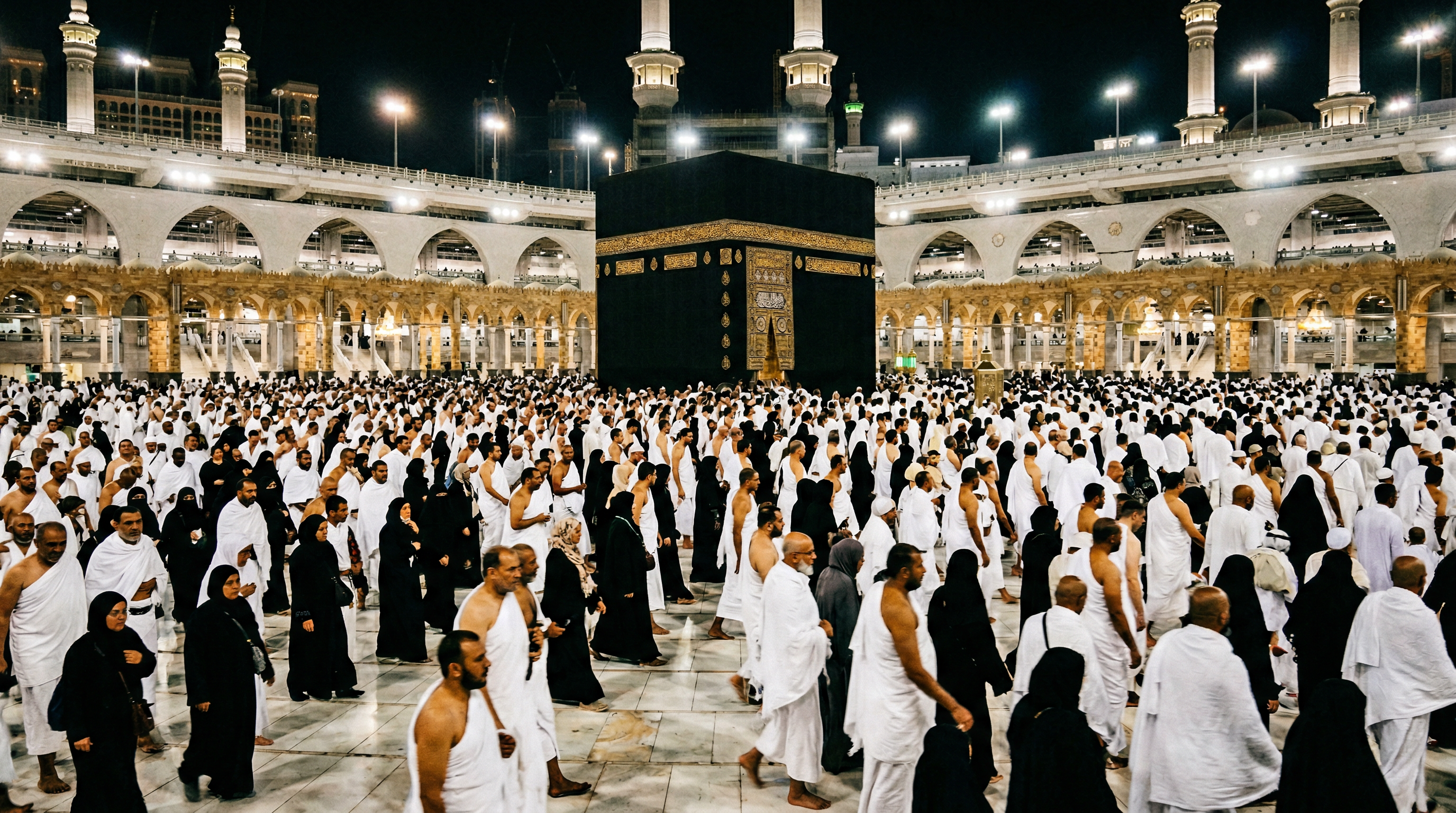 FpYdD2jxHjpWO2kUtZrce_xdvGmxbK